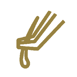 Icone - Transplante Capilar - FUE